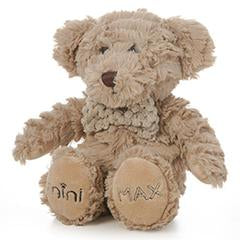 Minimax Teddy