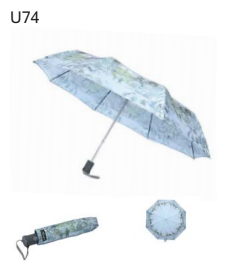 Hawkins Ladies Landscape Umbrella U74