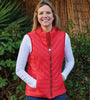 Champion Saltburn Gilet